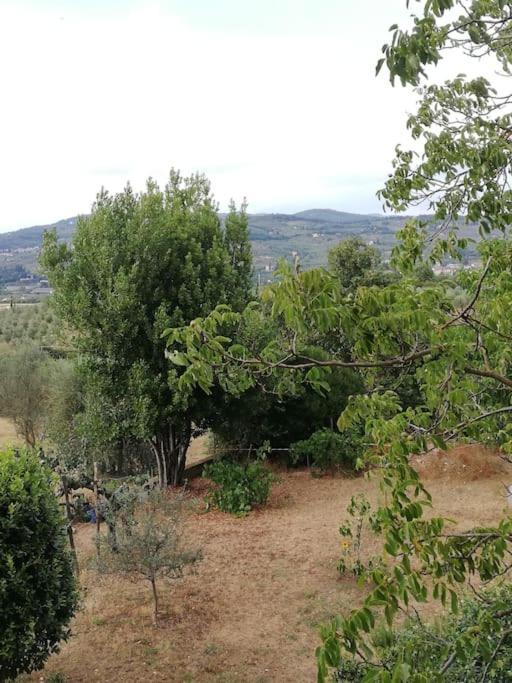 I Rosai Appartamento Sulle Colline Fiorentine بانيو أَ ريبولِ المظهر الخارجي الصورة